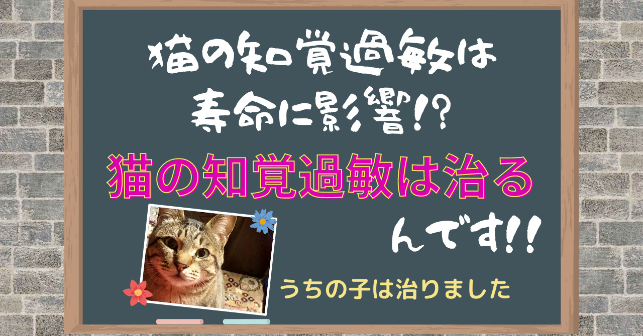 猫の知覚過敏症は寿命に影響 猫の知覚過敏は治るんです 猫って想像以上に 愛 でした