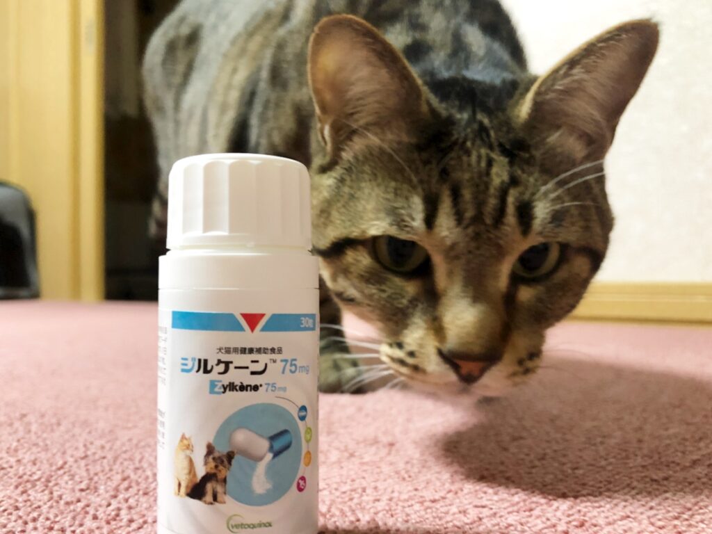 猫の知覚過敏が治った！薬やサプリ使ったのは３つだけです  猫って 