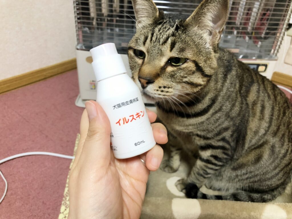 猫の知覚過敏が治った！薬やサプリ使ったのは３つだけです  猫って 