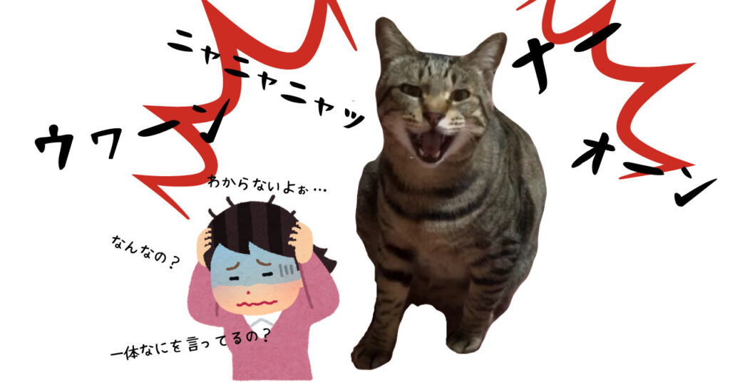 猫の気持ちが知りたいあなたへ 今さら聞けない ねこのきもち 定期購読メリット決定版 猫って想像以上に 愛 でした