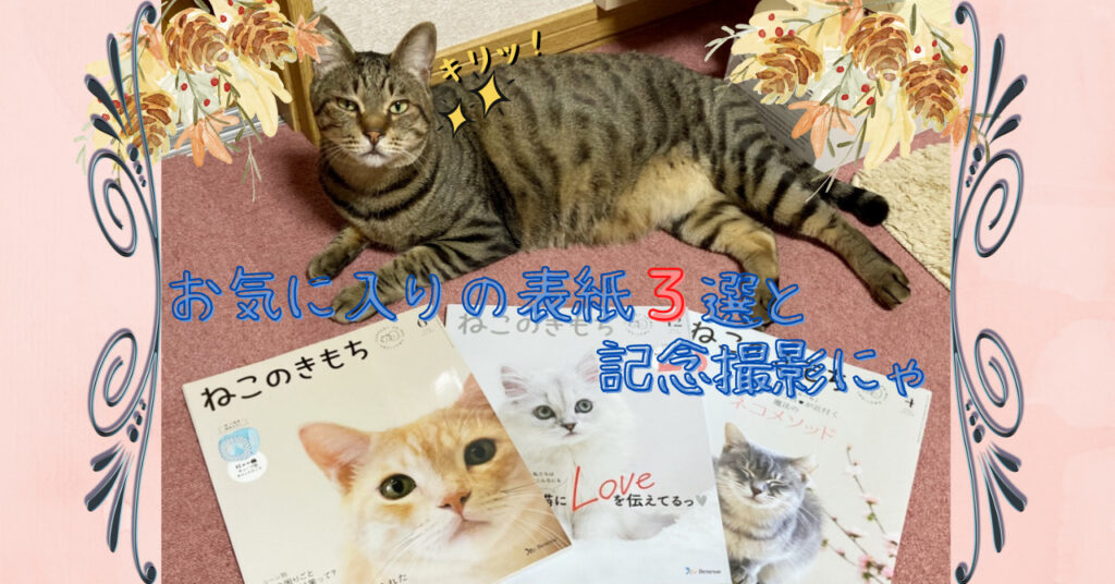 猫の気持ちが知りたいあなたへ 今さら聞けない ねこのきもち 定期購読メリット決定版 猫って想像以上に 愛 でした