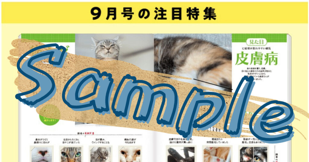 猫の気持ちが知りたいあなたへ 今さら聞けない ねこのきもち 定期購読メリット決定版 猫って想像以上に 愛 でした