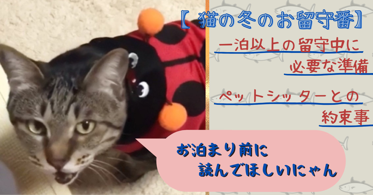 猫の冬のお留守番 一泊以上の留守中に必要な準備やペットシッターとの約束事 猫って想像以上に 愛 でした